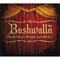 Acoustic Rhymer - Bushwalla lyrics
