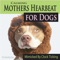 Dog Heart Beats for Separation Anxiety - The Kokorebee Sun lyrics