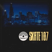 Skate 107 artwork