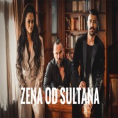 Zena Od Sultana artwork