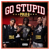 Polo G/Stunna 4 Vegas/NLE Choppa - Go Stupid