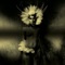 Every Single Prayer (feat. Gavin Clark) - UNKLE lyrics