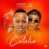 Catalia (feat. Mr JazziQ, Mellow & Sleazy) - Single