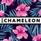 Chameleon - XY&O lyrics