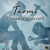 Fake Friends artwork