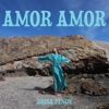 Amor Amor - Single