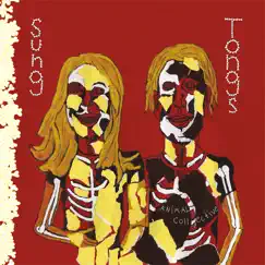 Sung Tongs by Animal Collective album reviews, ratings, credits