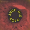 Abre Mis Ojos - Single