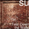 Tear Down the Walls - Single