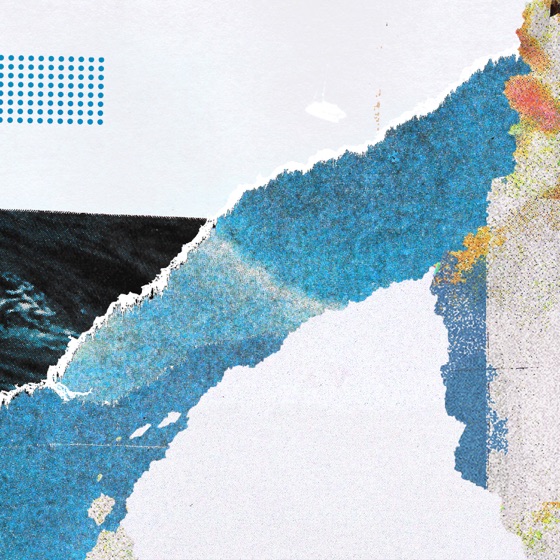 Cover artwork for Fly