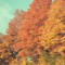 Autumn Daze - Crawdad Cult lyrics
