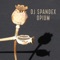 Opium - DJ Spandex lyrics