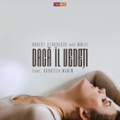 Daca Il Vedeti (feat. Gabriela Marin) artwork