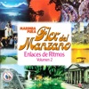Enlaces de Ritmos Volumen 2. Música de Guatemala para los Latinos