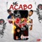 Se acabo (feat. El socio & El pokel) - Fifa Baby Bear lyrics