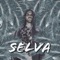 Selva - Bashe lyrics