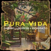 Pura Vida artwork