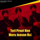 Teri Preet Hee Mera Jeevan Hai artwork