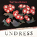 Undress - The Felice Brothers
