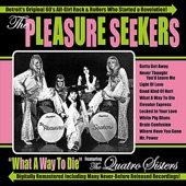 the Pleasure Seekers - Never Thought You'd Leave Me