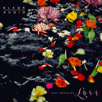 Blaqk Audio - Only Things We Love artwork