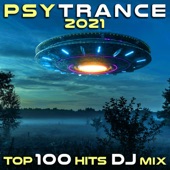 PsyTrance 2021 Top 100 Hits DJ Mix artwork