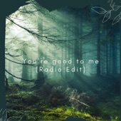 You're Good To Me (Radio Edit) artwork