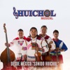 Desde México "Sonido Huichol"