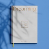 Dreaming artwork