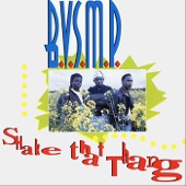 Shake That Thang artwork