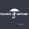 Rain Story album lyrics, reviews, download