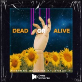 Dead Or Alive artwork