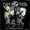 Stay Fly (feat. Young Buck & 8Ball & MJG) - EP album lyrics, reviews, download
