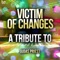 Victim of Changes - Ameritz Top Tributes lyrics