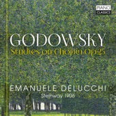 Godowsky: Studies on Chopin, Op. 25 artwork