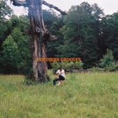 Southern Grooves artwork