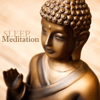 Meditation (The Essence) - Deep Relaxation Meditation Academy