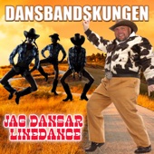 Jag dansar linedance artwork