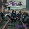 Hate - Single