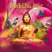 Buddha Bar XXI: Paris, the Origins artwork