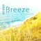 N°005 - relaxdaily lyrics