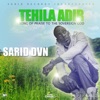 Sarid DVN - Tehila Adir
