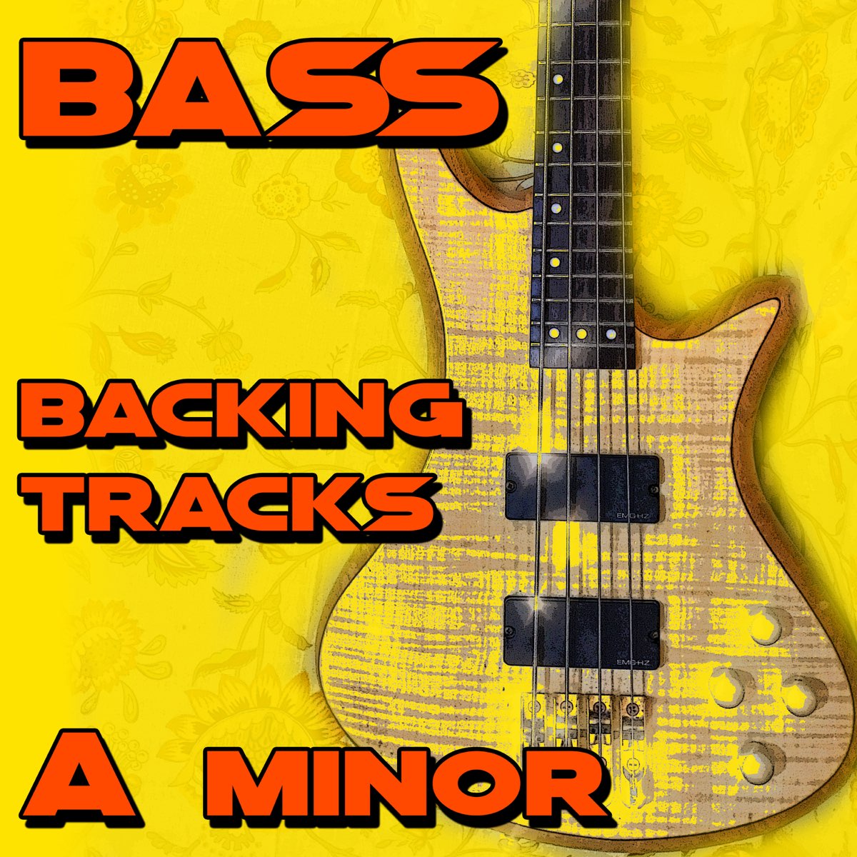 Bass am. Pop Punk Chords.