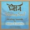 Vata: The Soaring Soul (Healing Sounds for Balance & Creativity) (Feat. Jai Uttal)