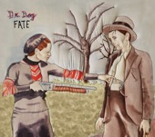 The Breeze by Dr. Dog