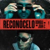 Reconócelo - Single