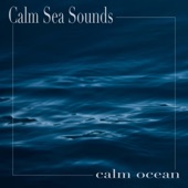 Calm Ocean - EP artwork