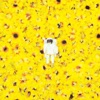 Sunflower - EP