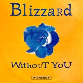 Without You (Mistral Radio Edit) artwork