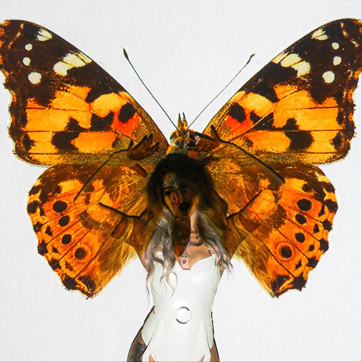 Him wings of a butterfly. Bullet with Butterfly Wings. Butterfly Wings for. Album Cover with Butterfly.